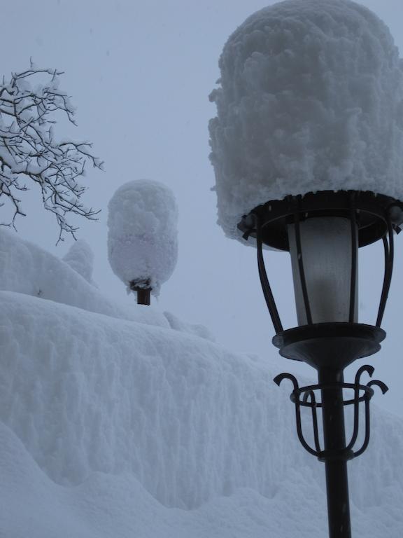 Gasthof Eggwirt Ultimo Exteriör bild